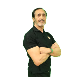Licinio Reis site