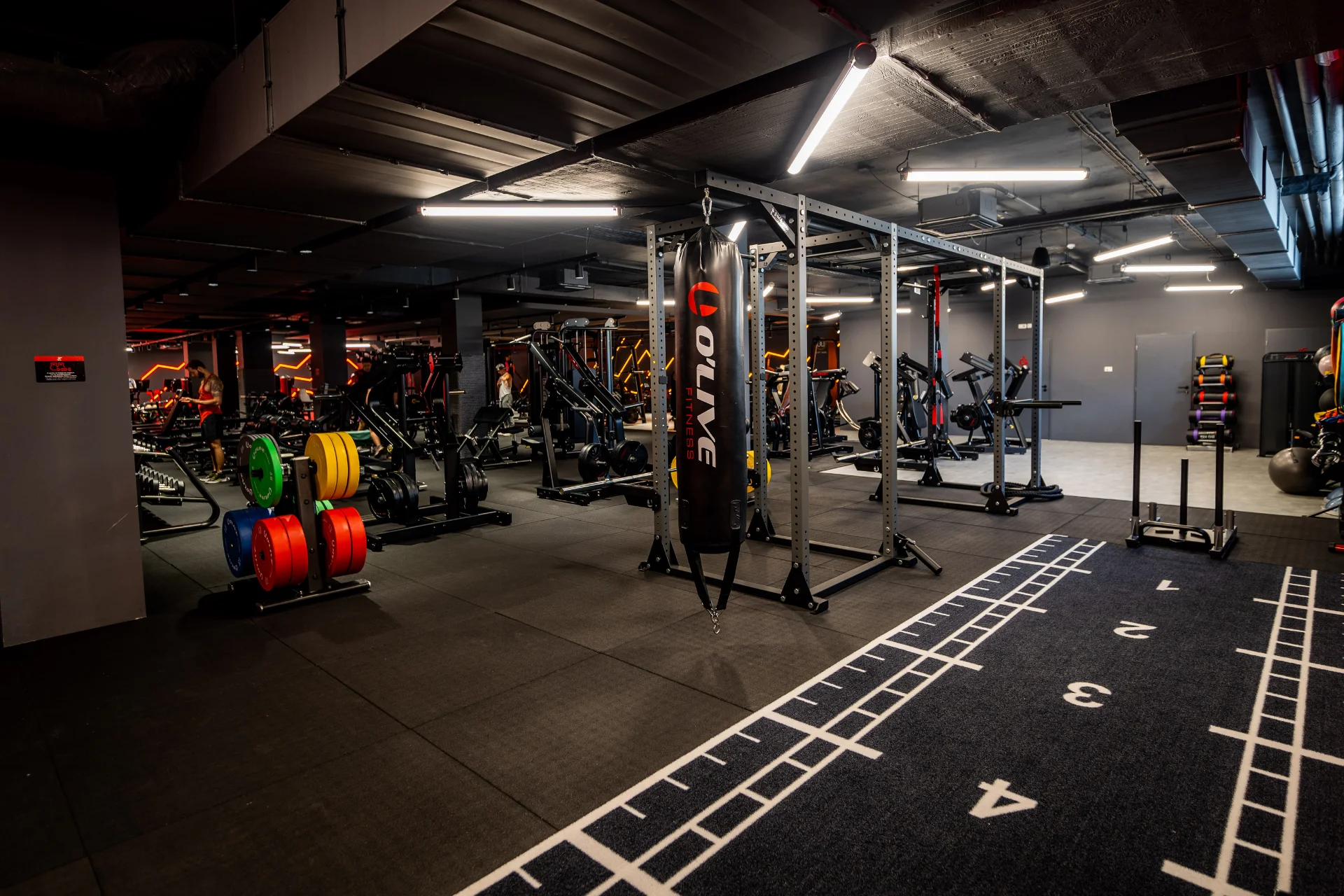 ElementGyms Covilha Adesao