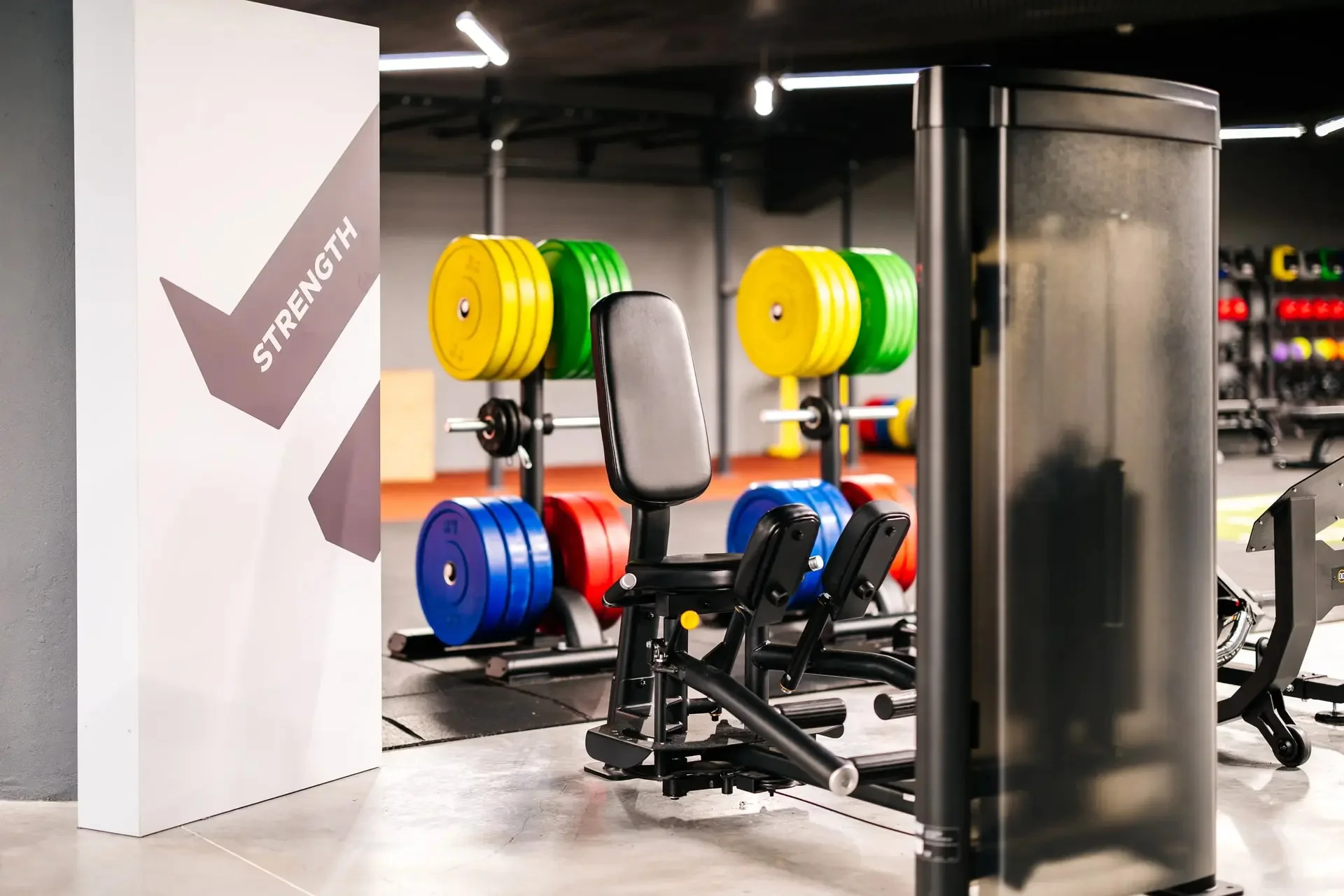 ElementGyms OliveiradeAzemeis